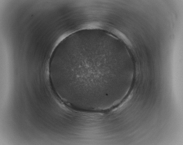 X0000112171226200908071151