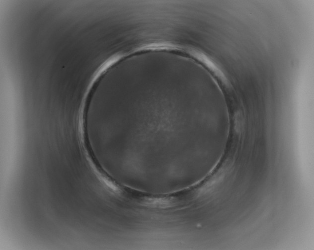 X0000112171229200908071151