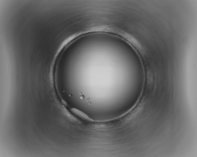 X0000112171230200908071151