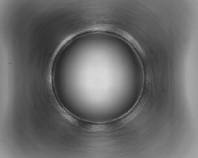 X0000112171232200908071152