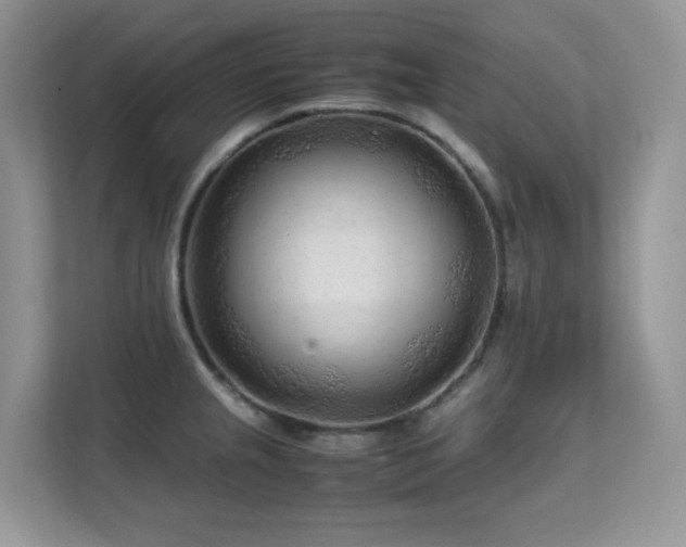 X0000112171237200908071152