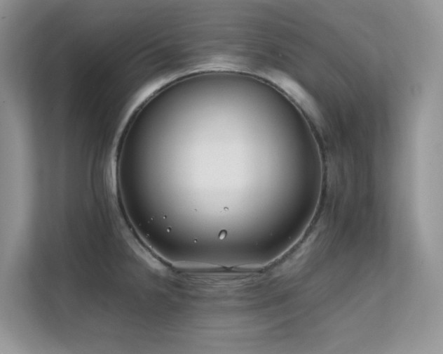 X0000112171238200908071152