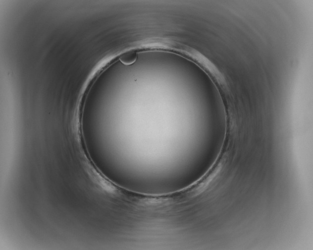 X0000112171240200908071152