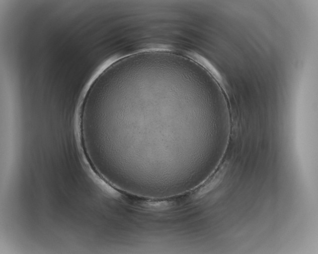 X0000112171243200908071152