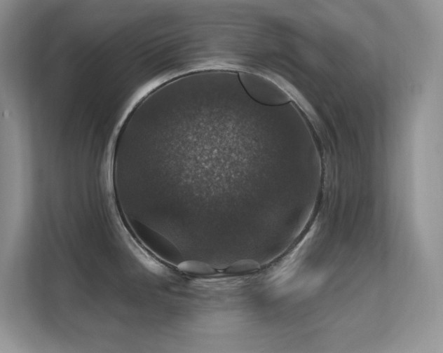 X0000112171246200908071152