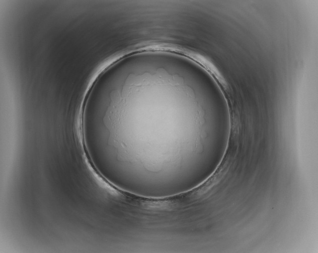 X0000112171247200908071152