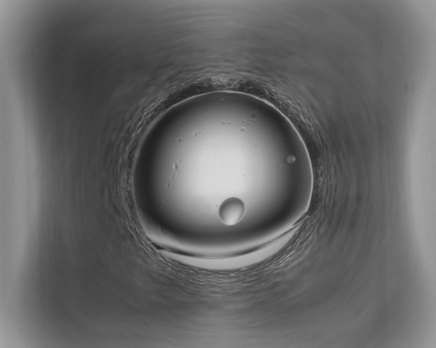 X0000112171249200908071151