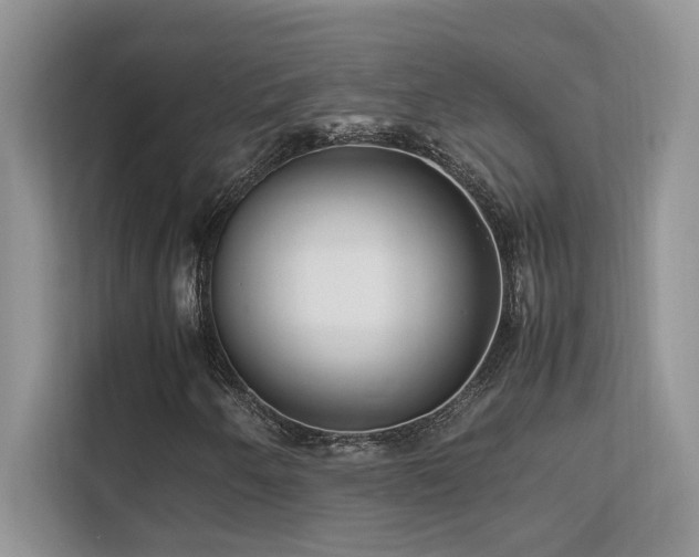 X0000112171250200908071151