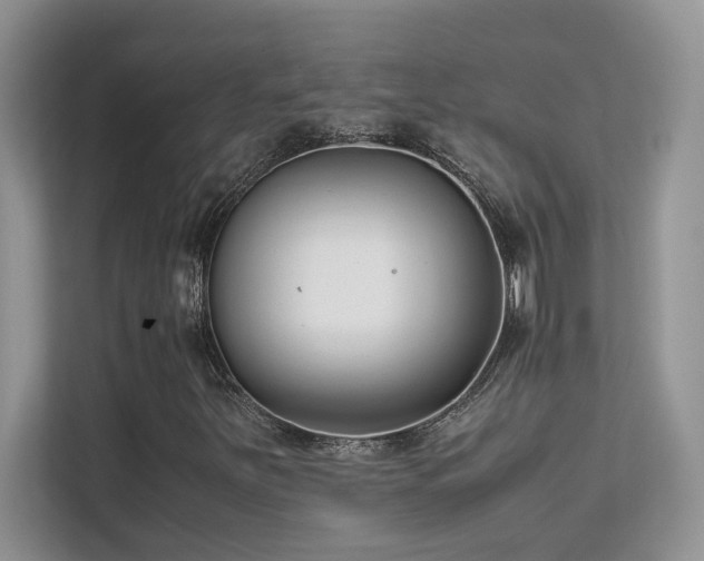 X0000112171251200908071151