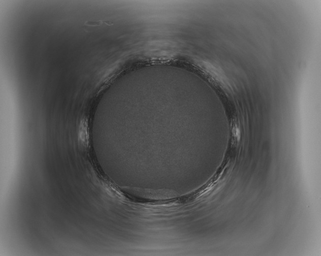 X0000112171252200908071151