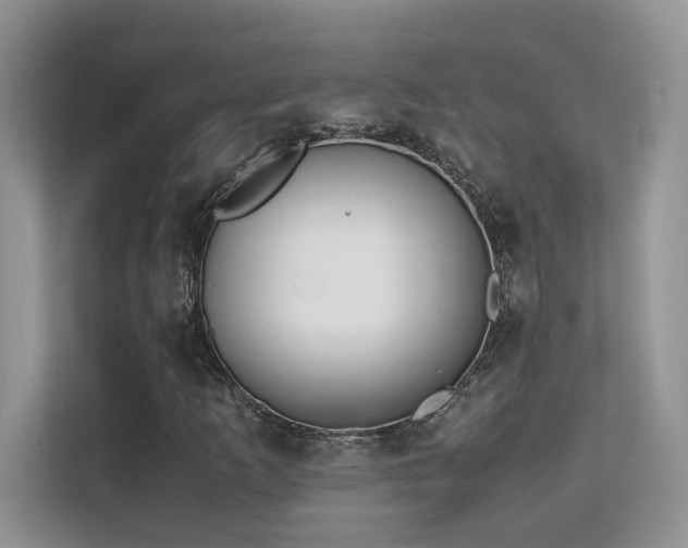 X0000112171253200908071151