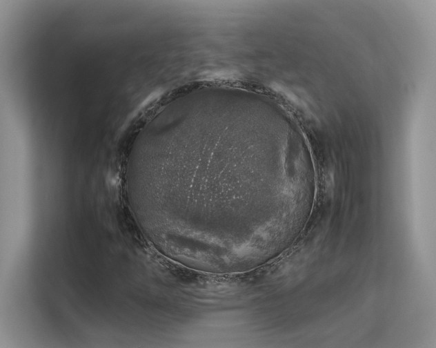 X0000112171254200908071151