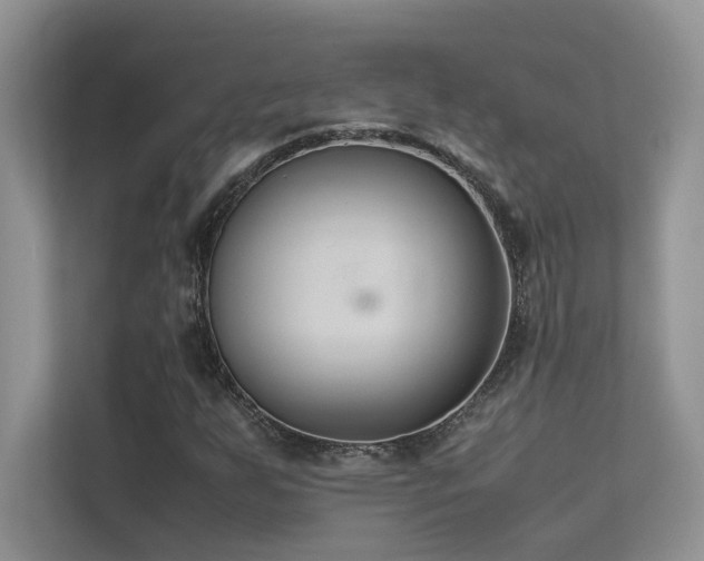 X0000112171255200908071151