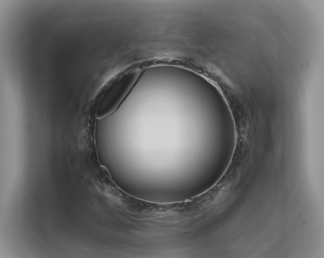 X0000112171256200908071151