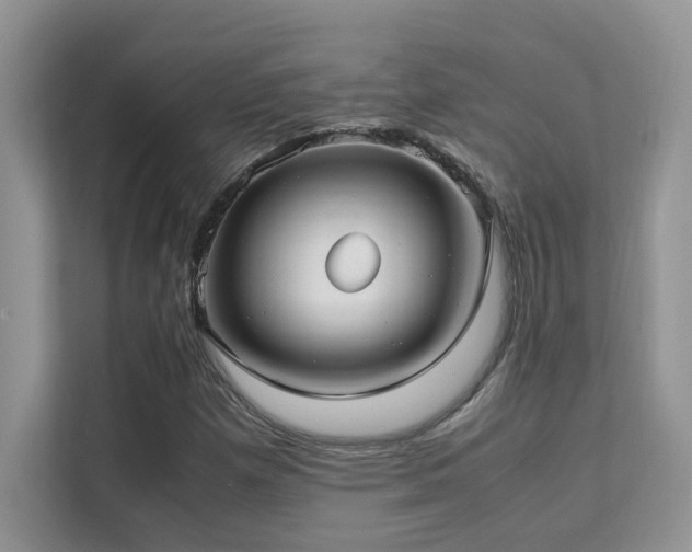 X0000112171257200908071151