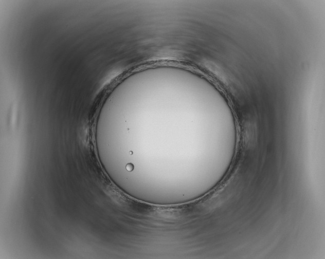 X0000112171258200908071151