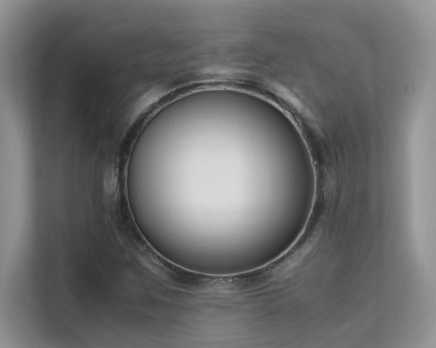 X0000112171259200908071151