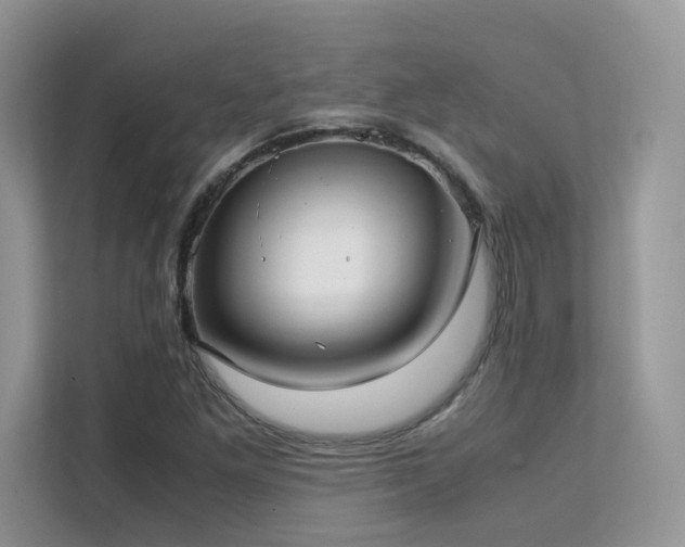 X0000112171261200908071151