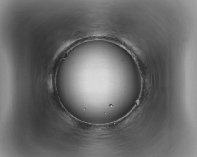 X0000112171262200908071151