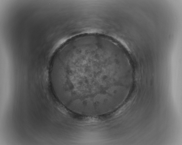 X0000112171263200908071151