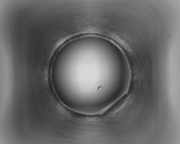 X0000112171264200908071151