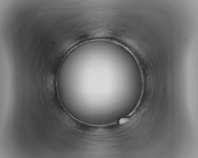 X0000112171265200908071151