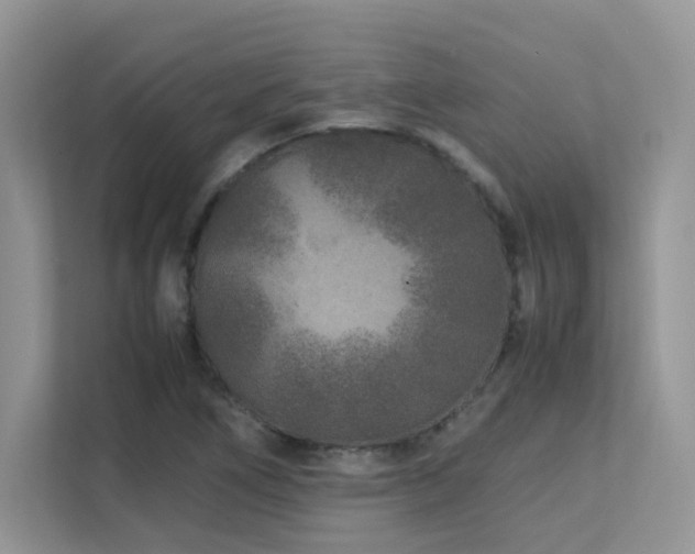 X0000112171266200908071151