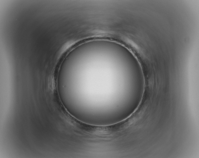 X0000112171267200908071151