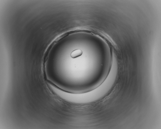 X0000112171268200908071151