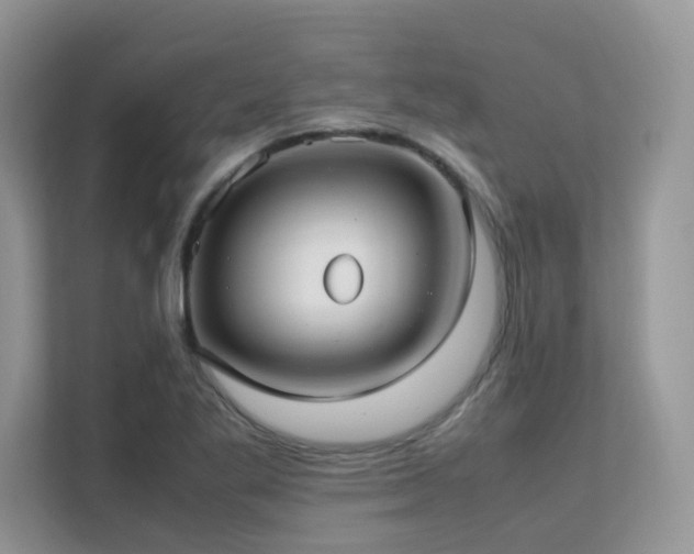 X0000112171269200908071151