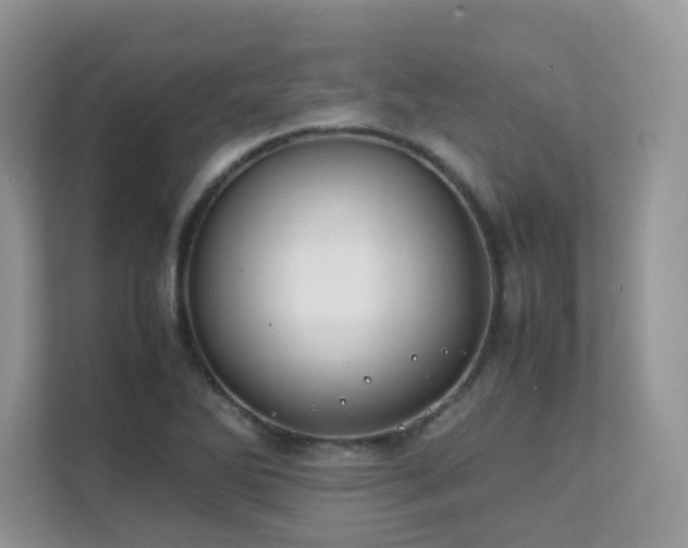 X0000112171270200908071151