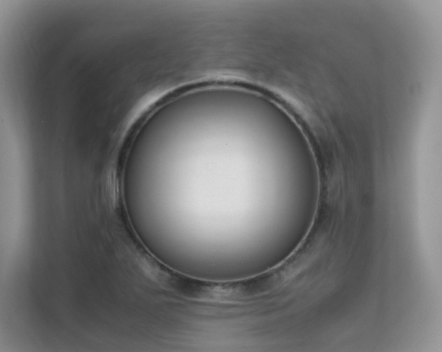 X0000112171271200908071151