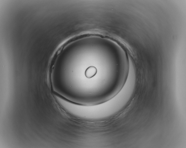 X0000112171272200908071151