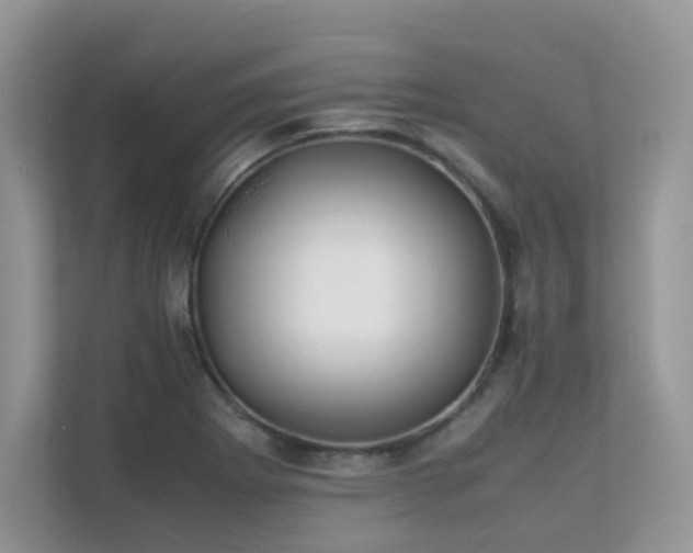 X0000112171273200908071151