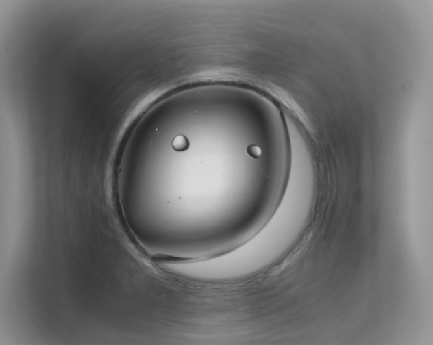 X0000112171277200908071151