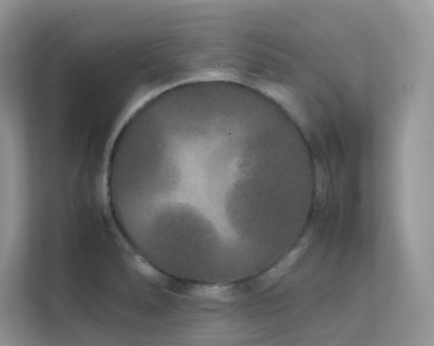 X0000112171278200908071151