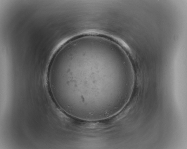 X0000112171279200908071151