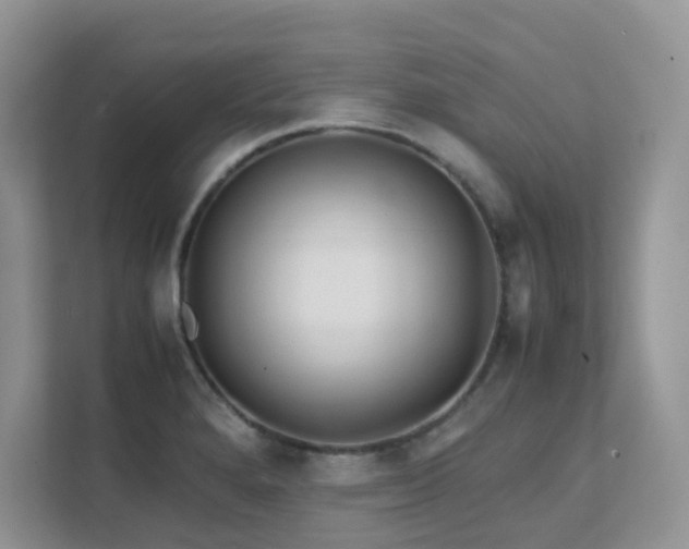 X0000112171280200908071151