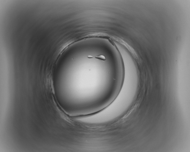 X0000112171281200908071151