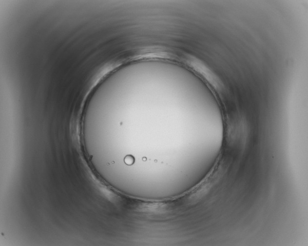 X0000112171282200908071151