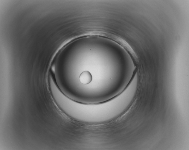 X0000112171284200908071151