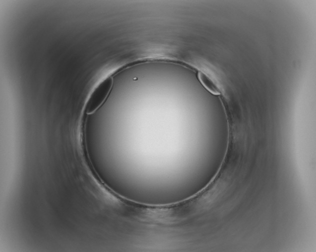 X0000112171285200908071151