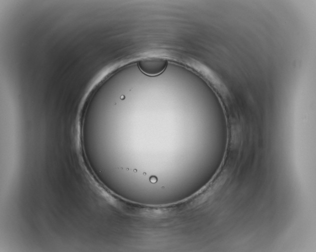 X0000112171286200908071151