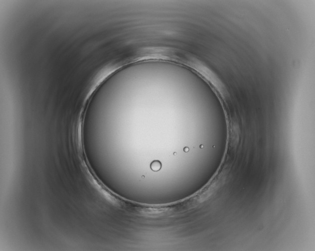 X0000112171290200908071151