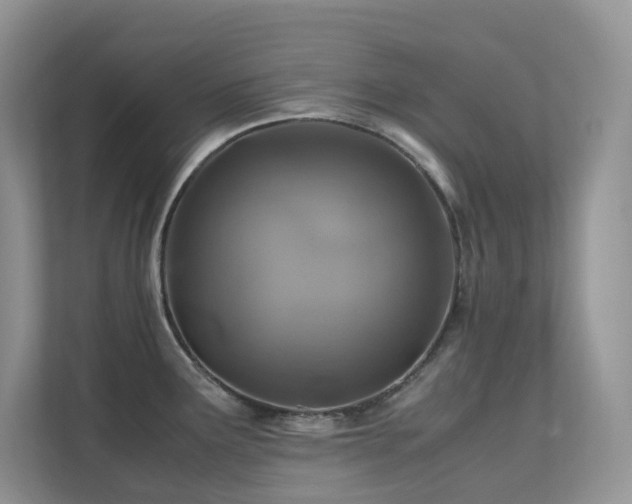 X0000112171291200908071151