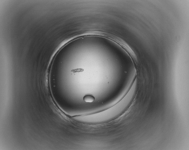 X0000112171292200908071151