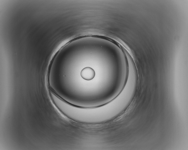 X0000112171293200908071151