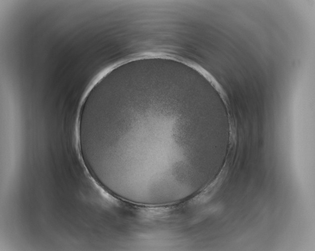 X0000112171294200908071151