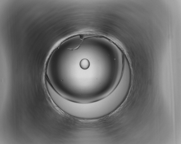 X0000112171296200908071150