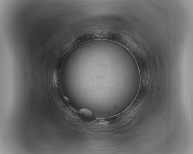 X0000112171298200908071150